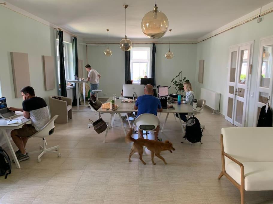 Parokia Apartman Es Coworking A Balaton Mellett Kaptalantoti Bagian luar foto